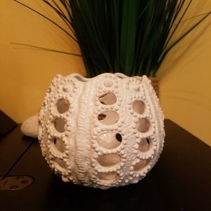 Shell coastal decor